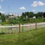 Salem Manor Vegetable Garden