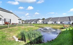 St Joseph's Court Pond