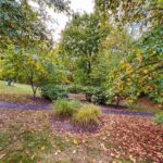 traditions.walking.trail