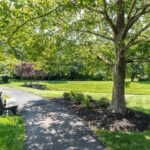Legacy.Oaks.walkingtrail3